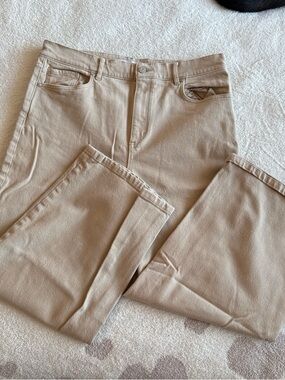 LOFT Wide-Leg Pants in Light Tan